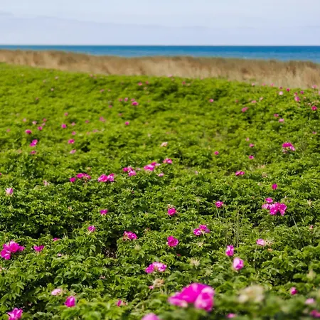 公寓 Der Stoertebeker - 